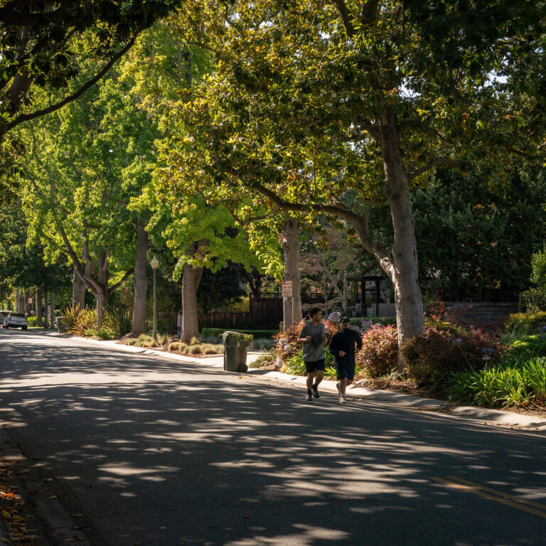 Zuckerberg’s Compound Had Something That Violated City Code: A Private School