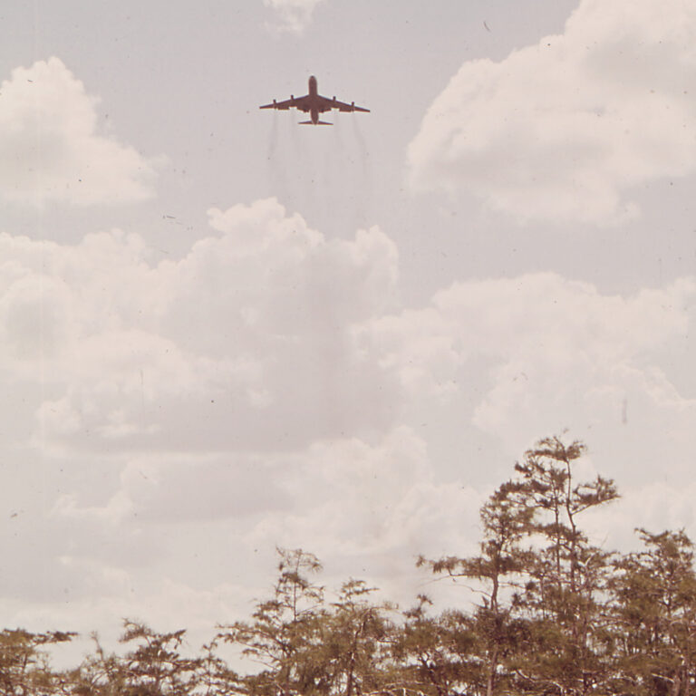 ‘Alligator Alcatraz’ in the Florida Everglades Is Testing Environmental Law