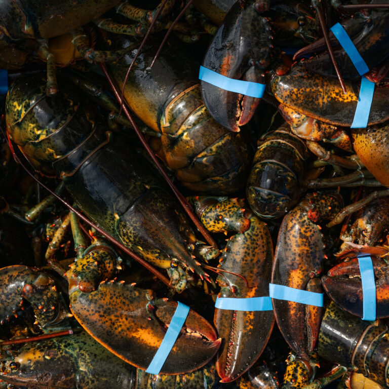 What Lobsters and Chickens Reveal About Europe’s Trade Strategy