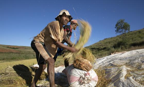 UN agencies warn of rising heat stress risks for workers worldwide