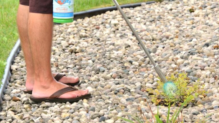 The Overlooked Yard Tool That Makes Getting Rid Of Weeds Easier (And Where To Buy It)