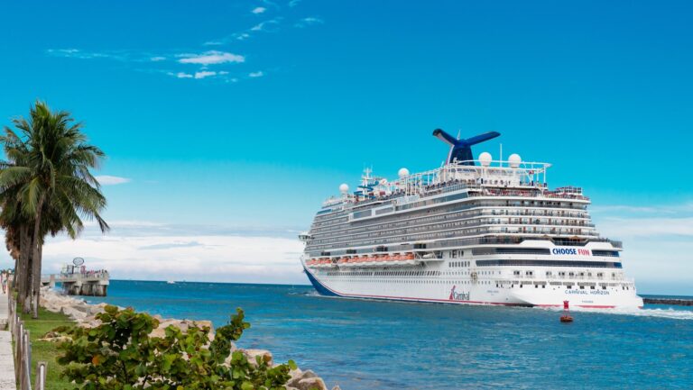 The Creepy Thing That Most Cruise Ships Have Built-In (And Why)