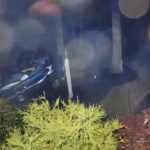 Police Chased a Truck With a Jet Ski Attached Across Nearly All of Massachusetts