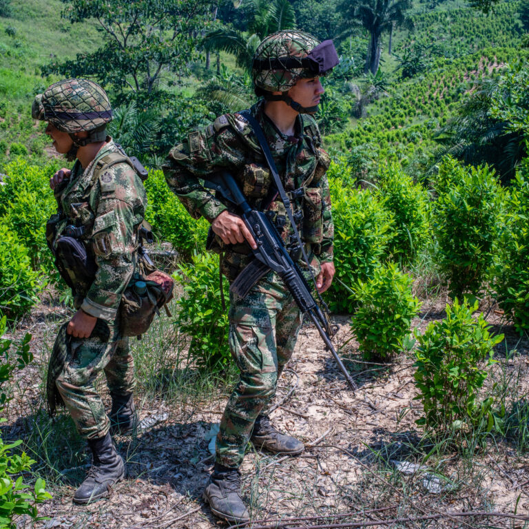 Trump Administration Questions Colombia’s Anti-Drug Efforts and Weighs Cutting Aid