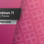 Microsoft fixes Windows Update error 0x80070002 and other issues in new Windows 11 builds