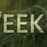 Microsoft Weekly: new Windows 11 updates with new features, 25H2 ISOs are here, and more