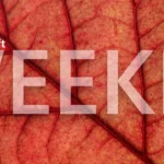 Microsoft Weekly: Bad and good news for gamers, browser updates, and more