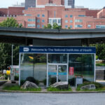 Whistle-Blower Complaints Detail Tension Over Vaccines at N.I.H.