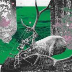 It Took Me Three Years To Bag a Bull Elk. Success Is the Adventure, But That’s a Big Bull (Part 2)