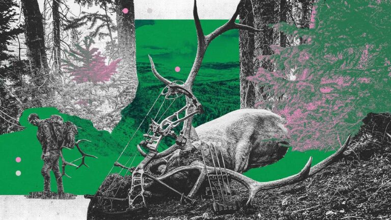 It Took Me Three Years To Bag a Bull Elk. Success Is the Adventure, But That’s a Big Bull (Part 2)