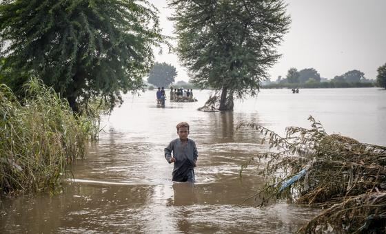 ‘The needs are huge’: Pakistan reels from floods as millions left homeless