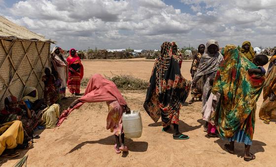 Sudan war: Life-saving cholera vaccination campaign begins in Darfur