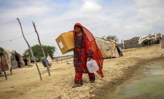 Gender equality: UN Women calls for political will and accelerated global action