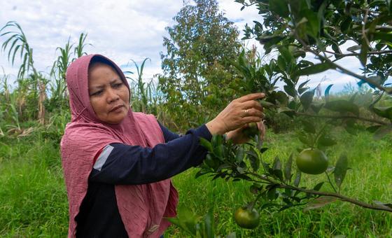 Local leadership powers Indonesia’s climate ambitions
