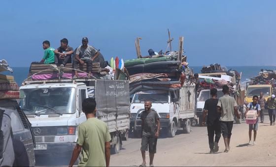 Gaza: UN rights office deplores deadly strikes on Palestinians gathering firewood