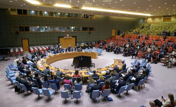 SECURITY COUNCIL LIVE: Ambassadors look for diplomatic way forward in Gaza and Ukraine