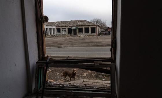 Ukraine: Russian strike on village kills over 20, mostly pensioners
