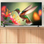 Are Insignia TVs Any Good? What Users Say About Best Buy's Budget Brand