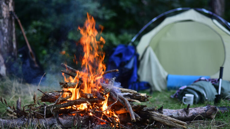 5 Harbor Freight Finds Users Say Will Take Your Camping Trips To The Next Level