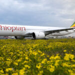Why The Airbus A350 Is Considered One Of The Best Jets For Long Flights