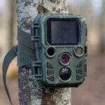 5 Of The Best Cellular Trail Cameras For Hunting Season (According To User Reviews)
