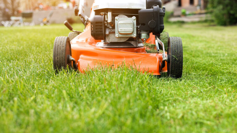 5 Of The Worst Electric Lawn Mowers On Amazon (According To User Reviews)