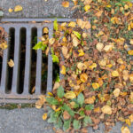 These Are The Tools You Need To Clear Drain Clogs The Right Way This Fall