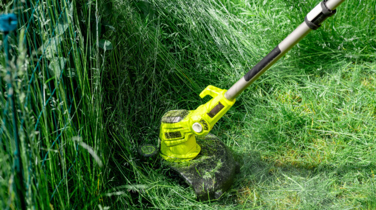 Common Problems With Ryobi's String Trimmer (According To Owners)
