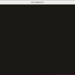 Everything in a Linux Terminal