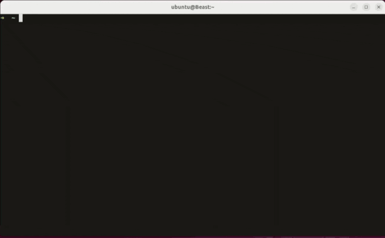 Everything in a Linux Terminal
