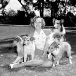 June Lockhart, Beloved Television Mother, Dies at 100