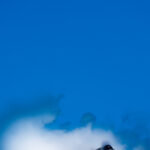 Senate Passes Bipartisan $925 Billion Defense Policy Bill