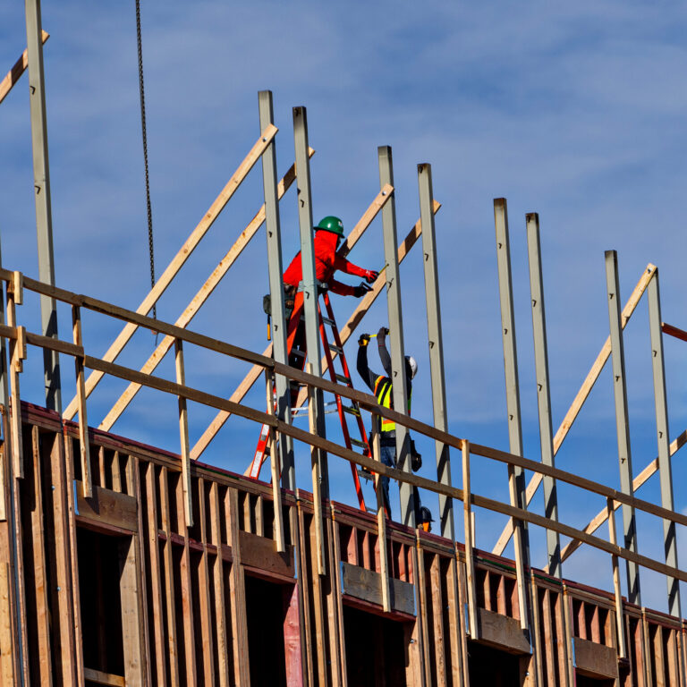 Trump Enacts Tariffs on Imported Lumber and Furniture