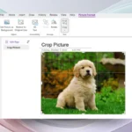 Microsoft rolls out 'highly requested' feature for OneNote