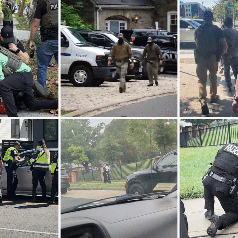 How Washington Became a Testing Ground for ICE