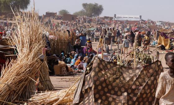 Sudan: UN rights chief calls for urgent action to protect civilians in El Fasher