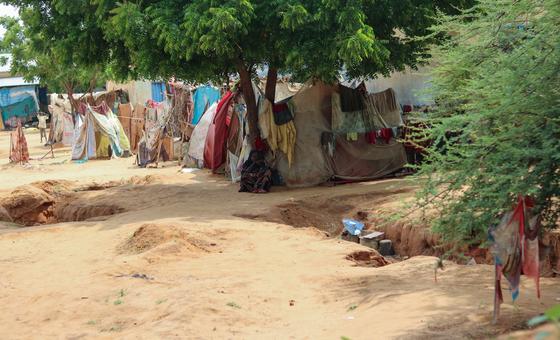 Sudan: El Fasher mosque and hospital attacks leave at least 20 dead