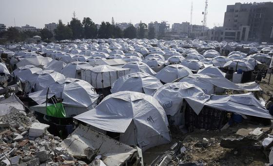 UN warns Gaza’s displaced face freezing nights and food shortages