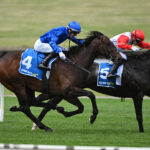 Electrical Devices Are A No-Go For Horse Racing (Unless You Want A 10-Year Ban)