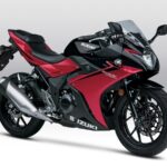 Do 250cc Motorcycles Make Good Beginner Bikes? Here's What Riders Say