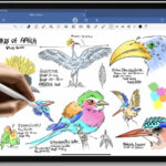 Apple Amazon Prime Day Deals Are Already Here: Save Big On iPad, Apple Watch & More