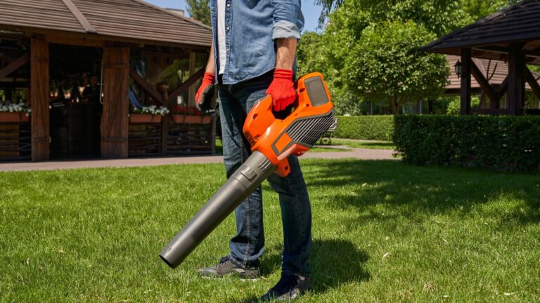 Can You Use Premium Gas In A Leaf Blower? Here's What Happens If You Do