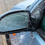 How To Keep Spiders And Other Bugs From Making Your Car Their Winter Home