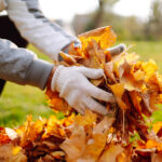 Don't Rake The Yard This Fall: This Other Tool Takes Care Of Leaves With Ease