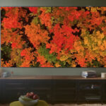 Is The LG Evo G4 OLED TV Any Good? Here's What Owners Say