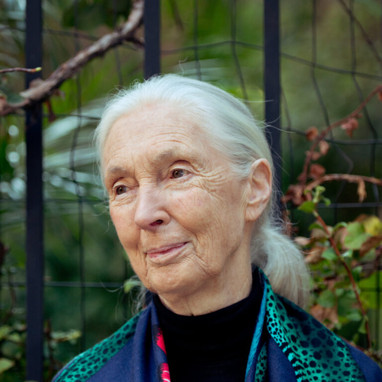Jane Goodall Dead: Eminent Chimpanzee Expert Was 91