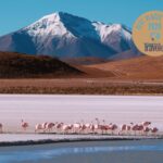 The Best Places to Go in Central & South America in 2026