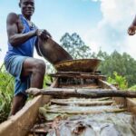 Fresh push to fight toxic mercury pollution underway