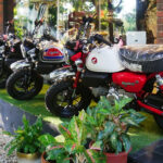 Mini Bike Top Speed: What's The Fastest Mini Motorcycles Can Go?