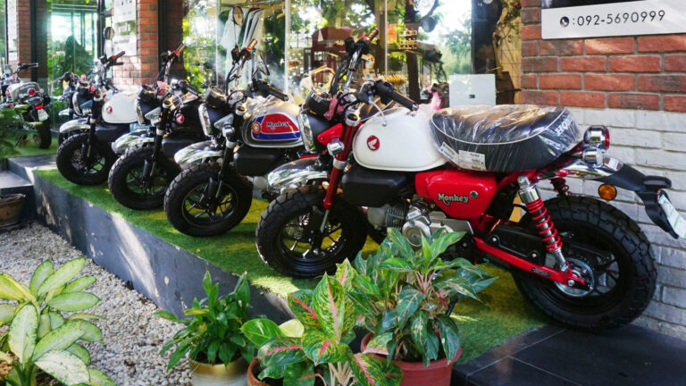Mini Bike Top Speed: What's The Fastest Mini Motorcycles Can Go?